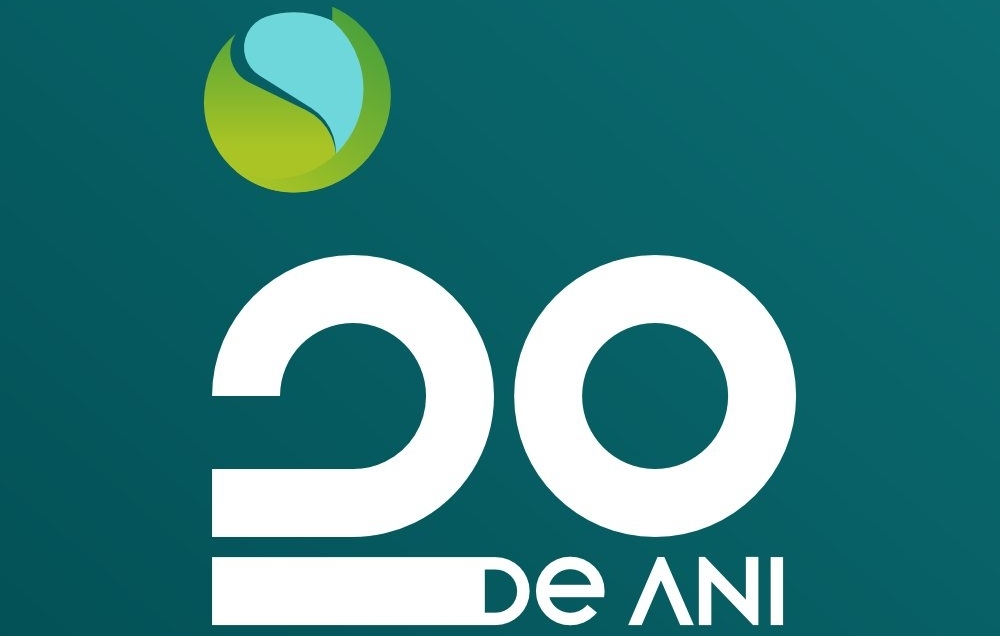 rin_20_de_ani_logo.jpg